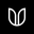 Renauld Sunglasses Icon