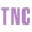 The Nail Company Icon