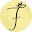 Cosfaja Icon