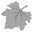 Image Apparel Icon