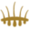 Hair Science Clinic Icon
