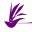 Fat Grass Garden Designs Icon