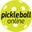 Pickleball Online Icon
