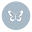 White Lace & Butterflies Icon