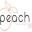 Peach Accessories Icon