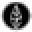 The Rare Plant Shop Icon