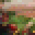 Tayors FoodStore Icon