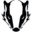 Badger Sportswear Icon