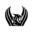 Phoenix Sportswear Icon