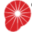 Susteen Icon