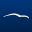 Listers Icon