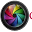 Gibson Cameras Icon