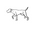 CuriosityCrafts Icon