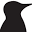 Little Woodpecker Studio Icon