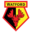 Watford Football Club Icon