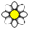 Whoops a Daisy Icon