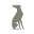 The Italian Greyhound Icon