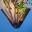Mylandscape Icon