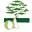 Cedar Nursery Icon