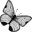 Urban Growth Icon