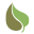 TreeTime.ca Icon