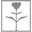 FIORONICASHMERE Icon