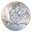 Bellerby Globemakers Icon
