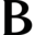 Brintons UK Icon