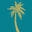 Palm Tree Skin Icon
