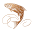 The Singleton Whisky Icon