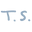 Swiftie Icon