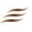 The Chocolate Source Icon