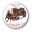 StageCoach Direct Icon