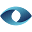 Eyecasions Icon