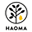 Haoma Icon