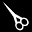 Direct Hairdressing Scissors Icon