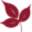 Herbs Hands Healing Icon