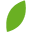 VitaBright Icon