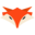 Foxtek Icon