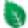 Mint Formations Icon