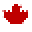 Canada Fit Icon