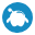 Solo.io Icon