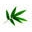 BambooBeautiful Icon