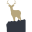 Huntly Dental Practice Icon