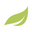 Spring Nature Up Icon