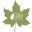 ilike Organics Icon