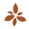 Lava Lily Designs Icon