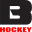 Base Hockey Icon