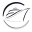 Dreamlines DE Icon