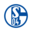 Schalke04 Icon